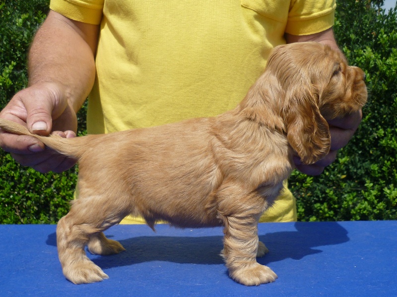 30. Garp pod Ořechem-sv. zelená.JPG